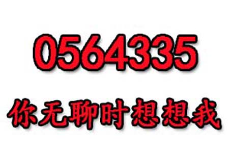 0564335数字是表示什么意思网络用语