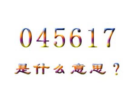 045617数字是表示什么意思网络用语