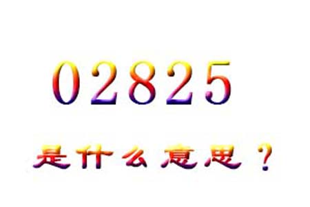 02825数字是表示什么意思网络用语