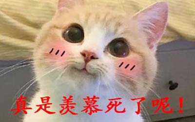 xmsl什么梗什么意思网络热梗