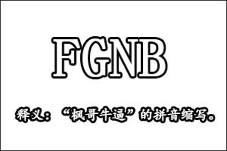 FGNB是什么梗和意思网络热梗