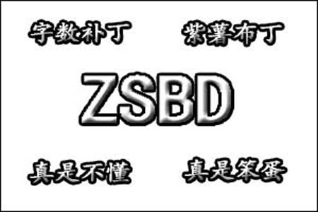zsbd是什么梗和意思网络热梗