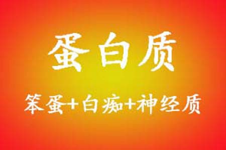 蛋白质是什么梗和意思网络热梗