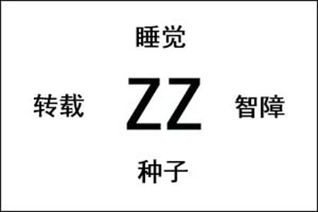ZZ是什么梗和意思网络热梗