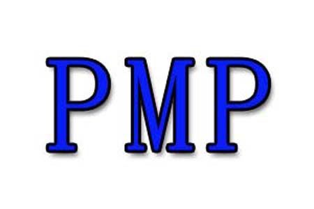 PMP是什么梗和意思网络热梗