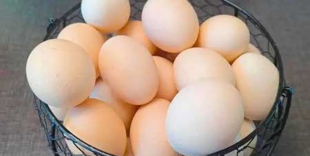 鸡蛋可以放冰箱保鲜吗?鸡蛋能放冰箱吗