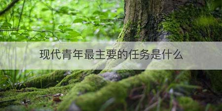 现代青年最主要的任务是什么