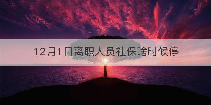 12月1日离职人员社保啥时候停