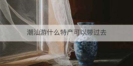 潮汕游什么特产可以带过去