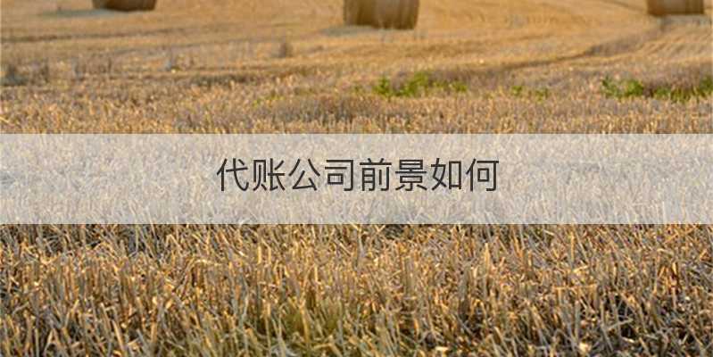 代账公司前景如何