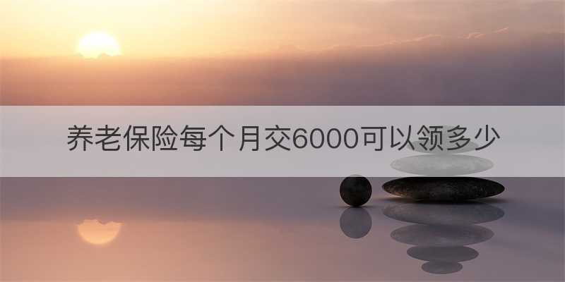 养老保险每个月交6000可