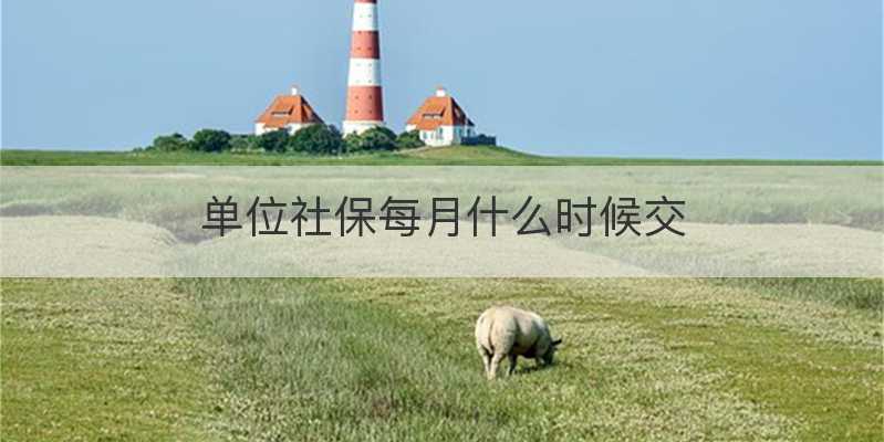 单位社保每月什么时候交