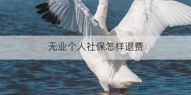 无业个人社保怎样退费