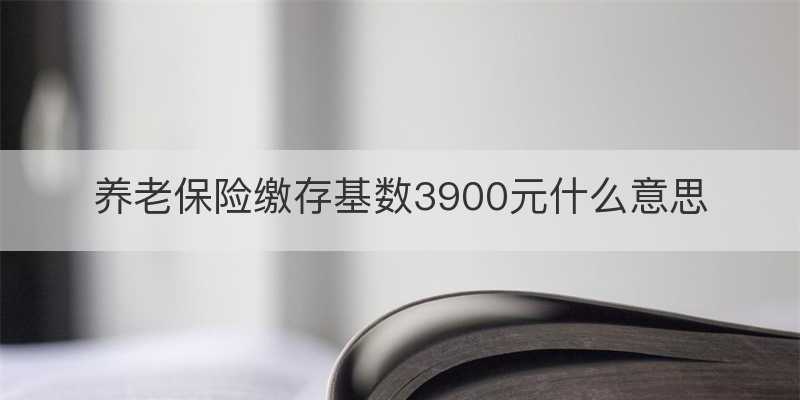 养老保险缴存基数3900元什么意思