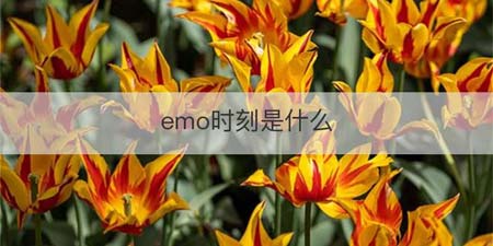 emo时刻是什么