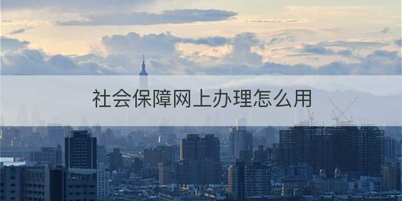 社会保障网上办理怎么用