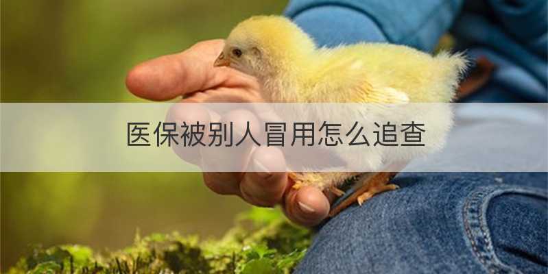 医保被别人冒用怎么追查