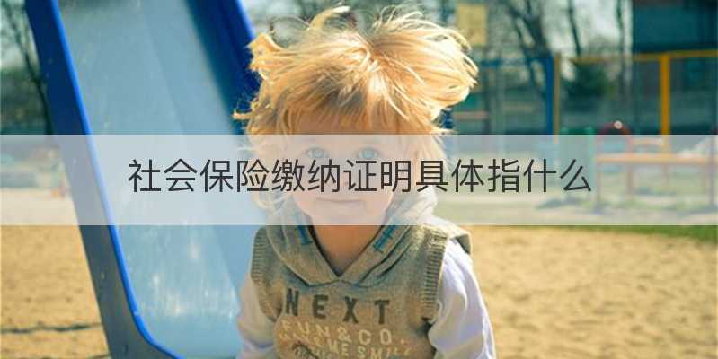 社会保险缴纳证明具体指什么