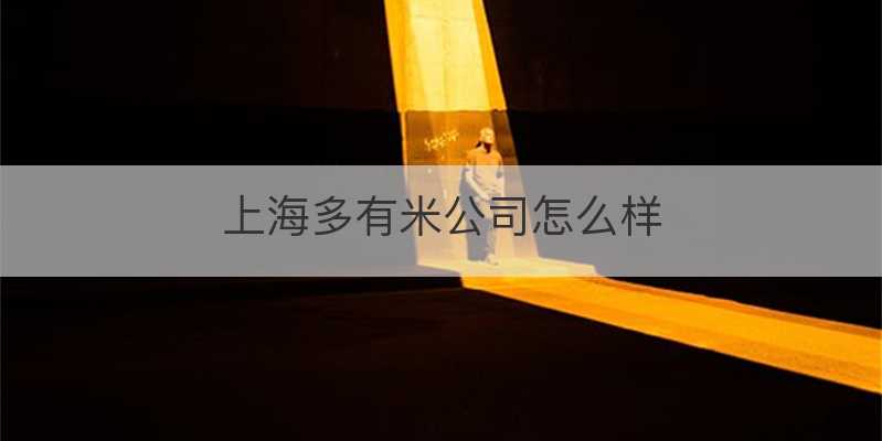 上海多有米公司怎么样