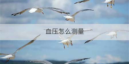 血压怎么测量