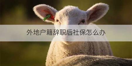 外地户籍辞职后社保怎么