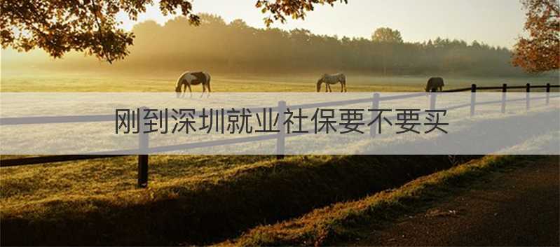刚到深圳就业社保要不要