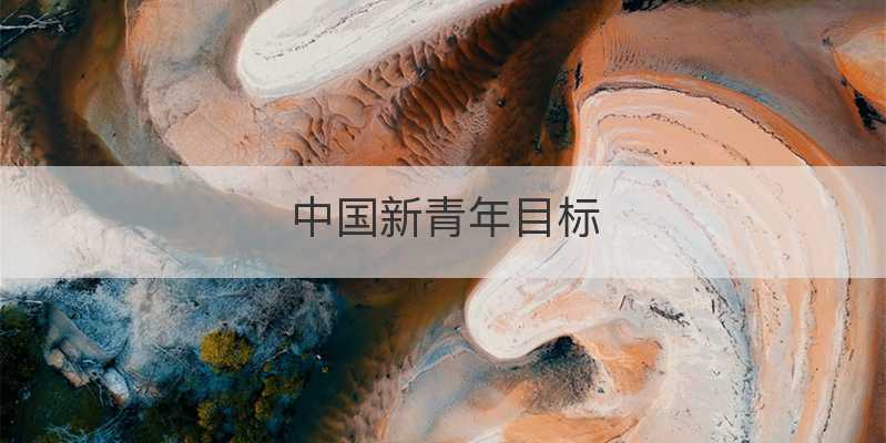 中国新青年目标