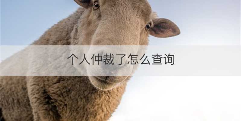 个人仲裁了怎么查询