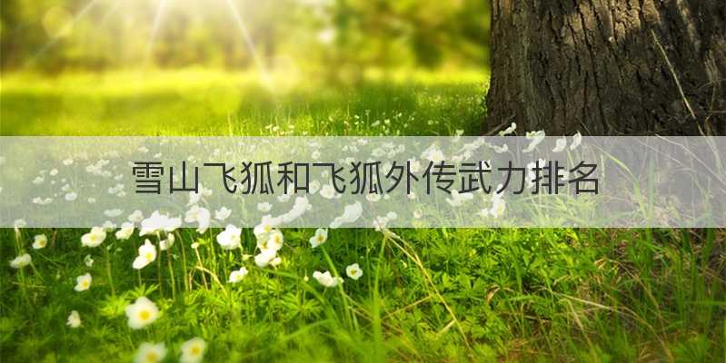 雪山飞狐和飞狐外传武力