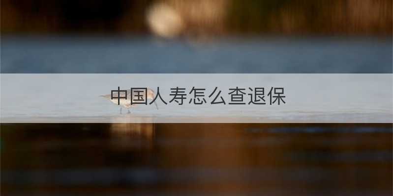 中国人寿怎么查退保