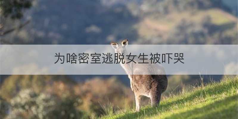 为啥密室逃脱女生被吓哭