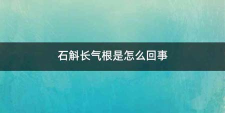 石斛长气根是怎么回事