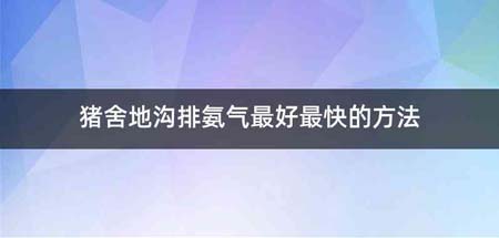 猪舍地沟排氨气最好最快