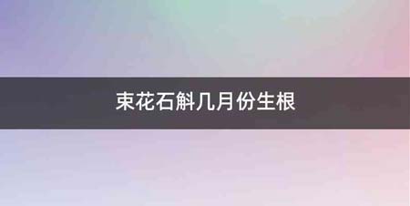 束花石斛几月份生根